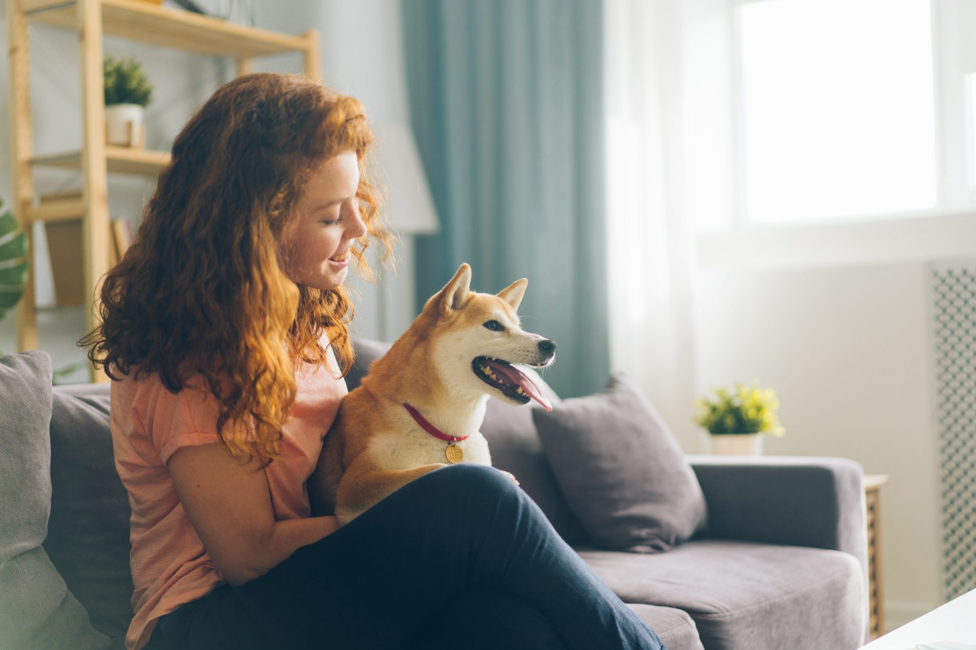 A happy dog in a modern, pet-friendly apartment in Charlotte, NC