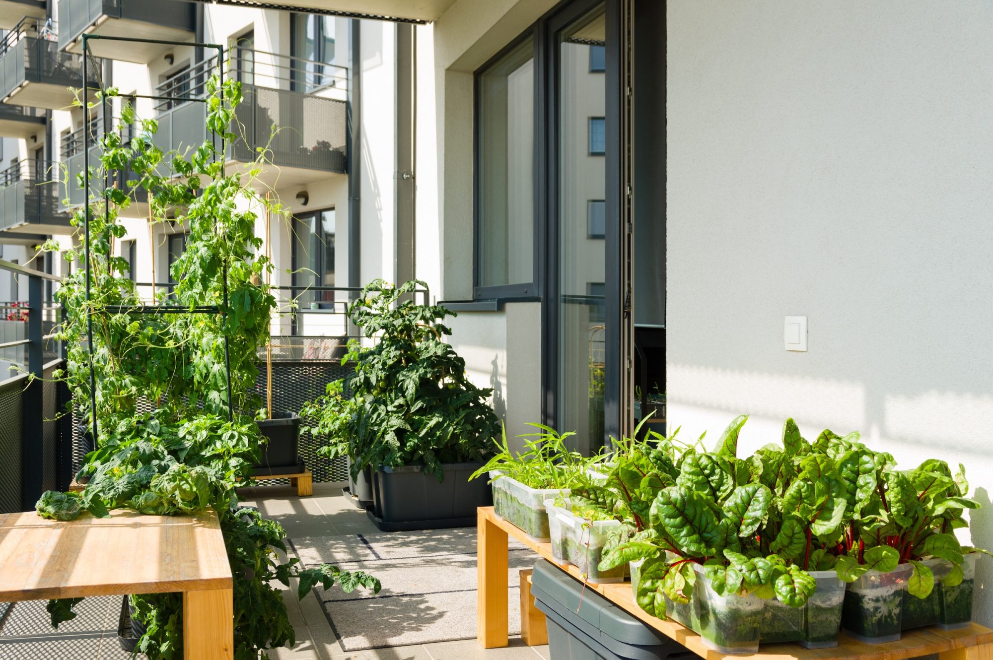 apartment balcony garden ideas