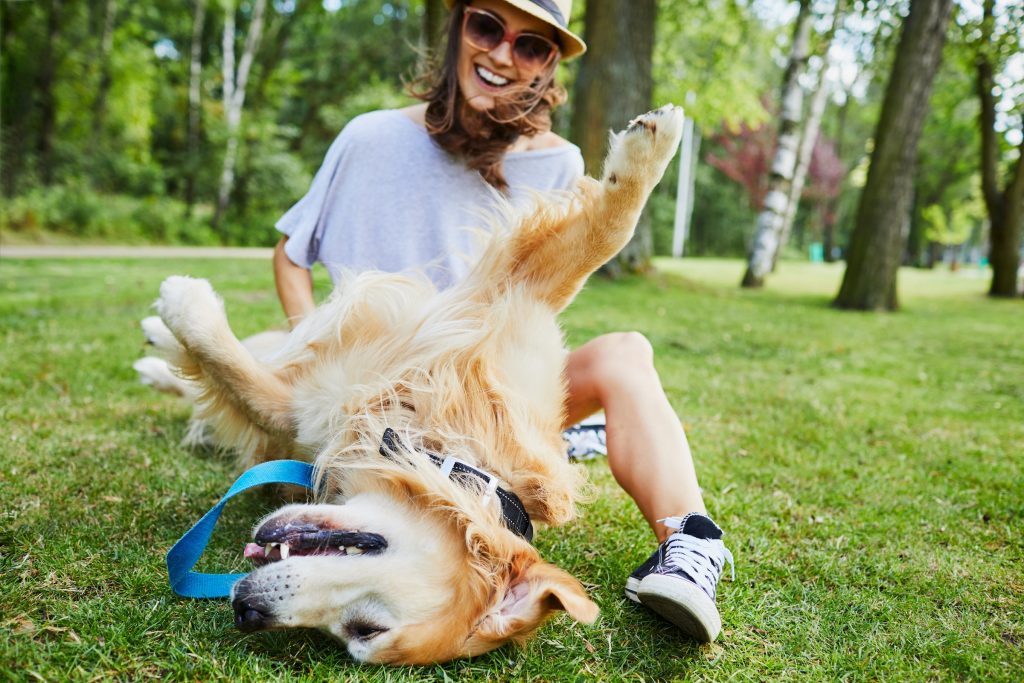 living-in-an-apartment-with-a-dog